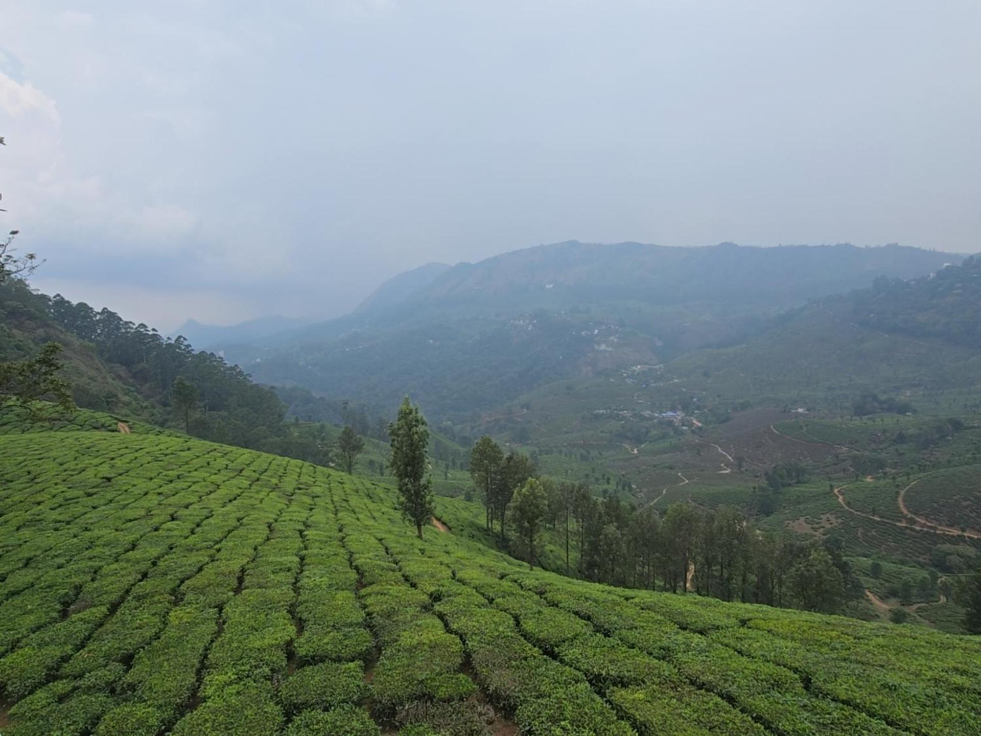 Beauty Spot Munnar Hotel Exterior photo